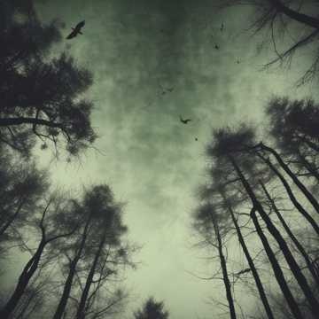 Playlist cover art