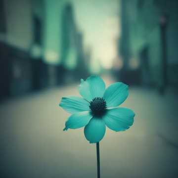 🎵Lyrical Status - ShareChat