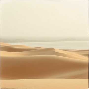 Capa de Meditação guiada no sertão 