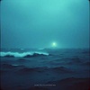 Cover image for Trust Torn Apart