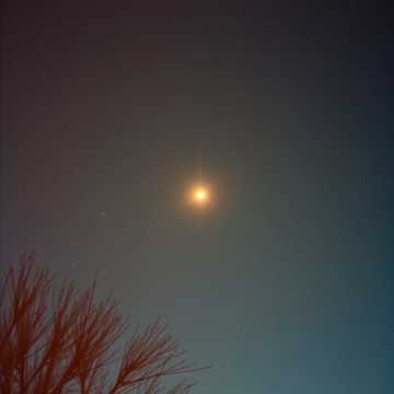 image for Resilient Ember (2)