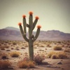 Cover image for Sensitive 