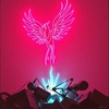 Burn Tonight (Then Rise Forever)