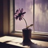 The love that I have left 