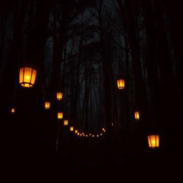 My Brother, My Sister