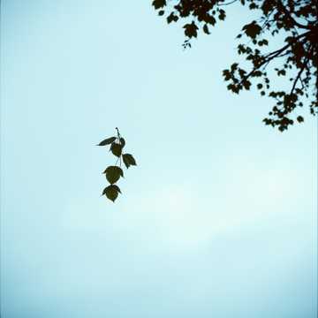 พูดไม่ออก(Silent goodbye)