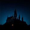 Wizards and Wands