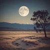 Song of Oneness – Love That Knows No Separation
(for the Card of Oneness – for the human path)