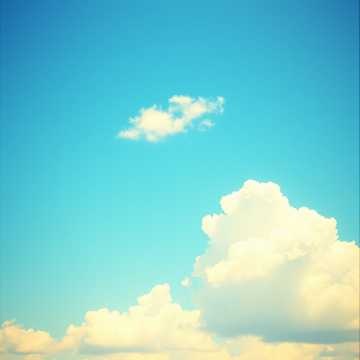 Image for Fork / Country / Singer Song Writer