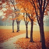 Harapan di November