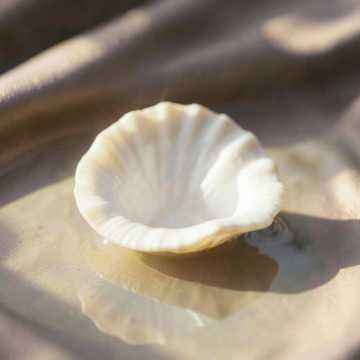 image for What I Miss (Myel) (29)