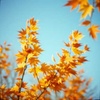Cover image for Cool September wind
