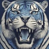Hip Hop Blue