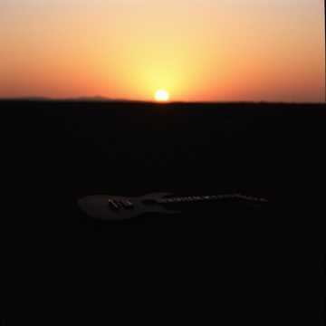 Echoes of My darkened Soul