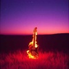 Show Me the Flame (Missouri) by Julie K. Barnett
