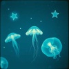 Stary Night