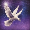 Cover image for That dove ( S.1)