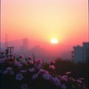 New Dawn