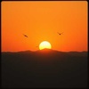 Rise and Hold On