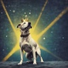 Dogprseed Anthem