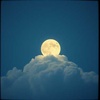 Cover image for stop all the clock + smoke added chirp (Remix) +grok 2 final patterm