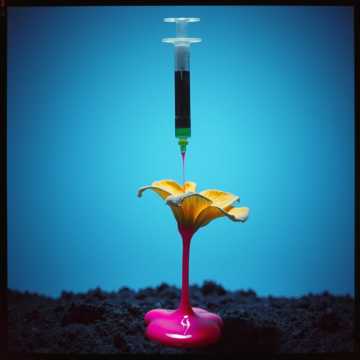 You’re My Dopamine (And I’m Your Disease)