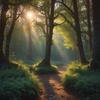 Cover image for Sunrise