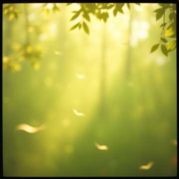 Whispering Grove