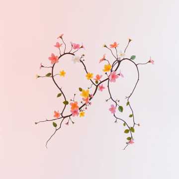 Tangled and twisted happily ever after. 