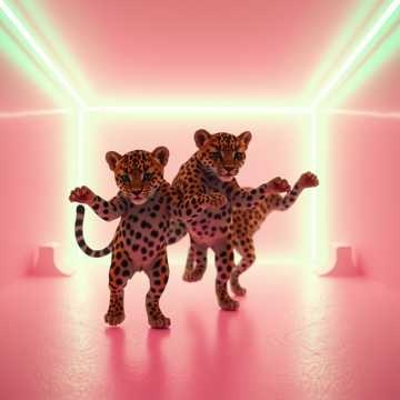 Image for Voidpop
