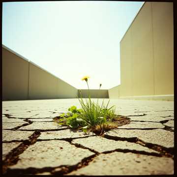 image for Your Best Shot Still Missed (4)