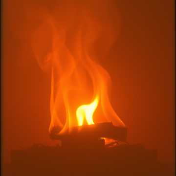 image for Resilient Ember (1)