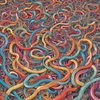 Cover image for CO2