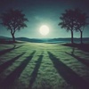 Moonlit Tango