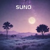 Cover image for Viendras-tu?