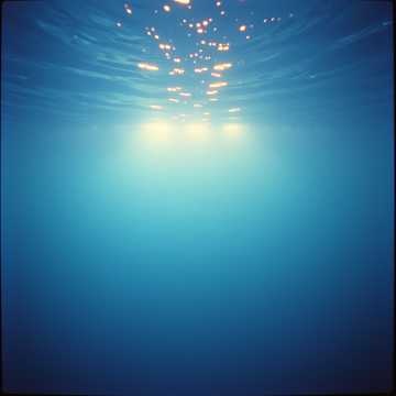 Persona image for swim