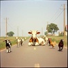 Cover image for Maa Maa Mother Cow (Livestock Groove) (Remastered)