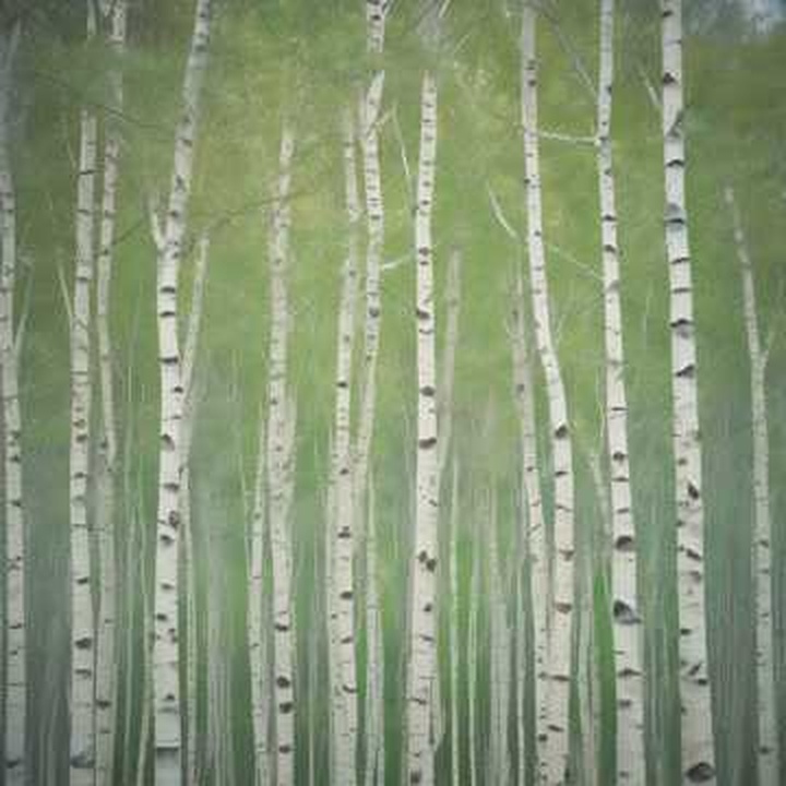 image_d4ba2c98-9afe-48aa-9387-fa7fd9ab03a0.jpeg