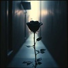 Cover image for **Mia Principessa** *