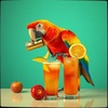 Crack Sparrow