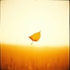 Falling Leaves Symphony