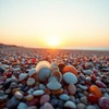 Rock Beach Reverie