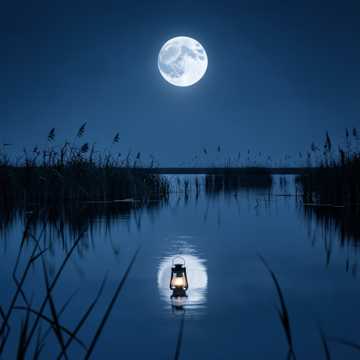 image for Still Waters (Still Waters) (3)