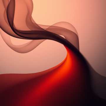 Crown in the Shadows