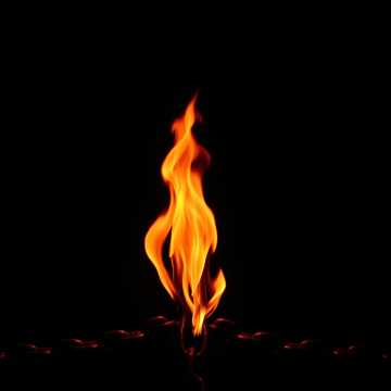 STAR - Viva la Devrim Türkei