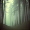 Ambient Noise Sound effect (Demons running)