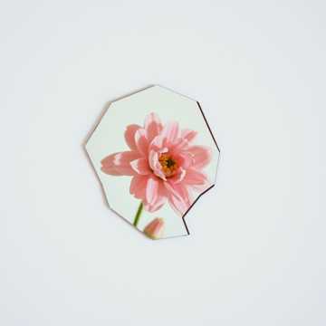 Do You Understand the Violence It Took to Become This Gentle