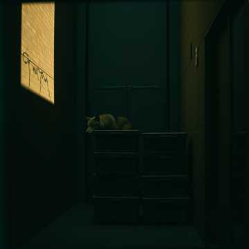 Trust No One, Stay Alive