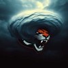 Cover image for Cyclone's Victory