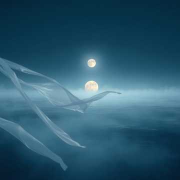 image for Soft Motion (1)